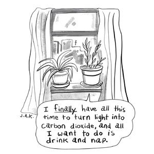 Meet your Posher, Ariana